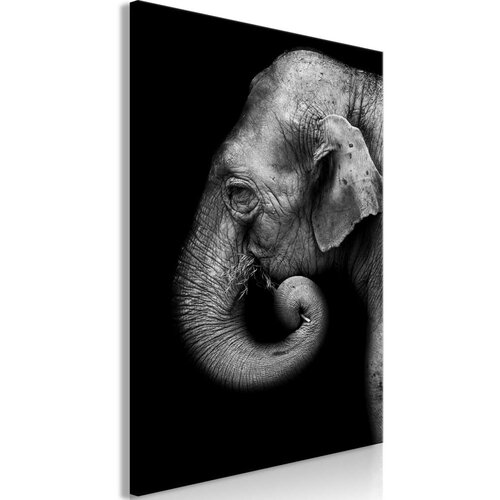  Slika - Portrait of Elephant (1 Part) Vertical 80x120 Cijene