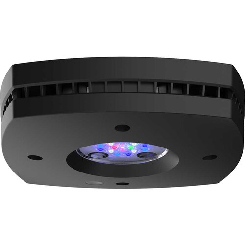 ECOTECH prime16 hd black Cene
