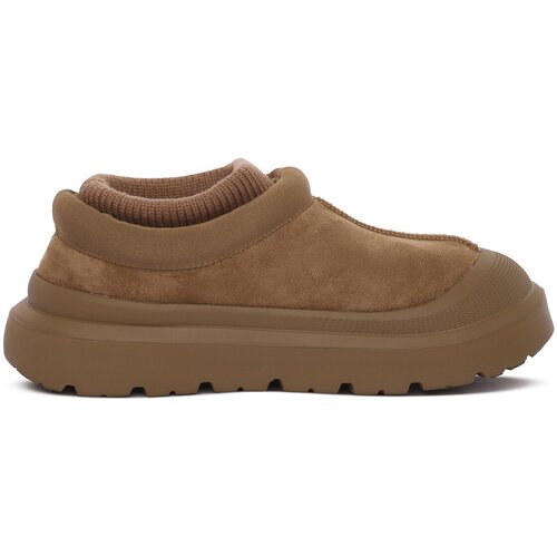 D.Franklin Nogavice NORDIC FOAM CLOG TAN Kostanjeva Cene