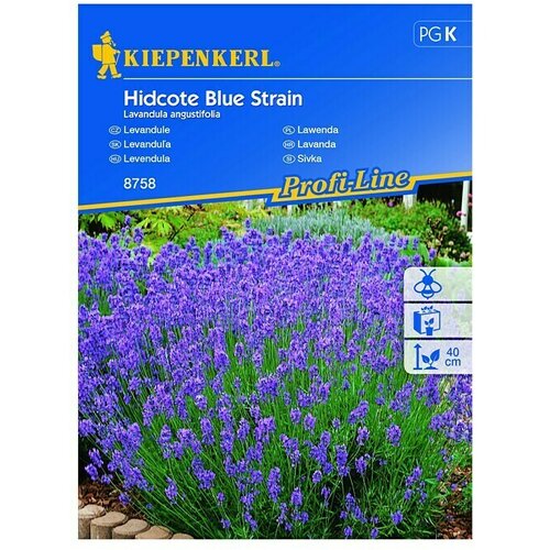 KIEPENKERL Sjeme cvijeća Lavanda Hidcote Blue Strain (Lavandula angustifolia, Plava) Cijene