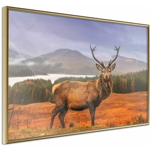  Poster - Majestic Deer 30x20