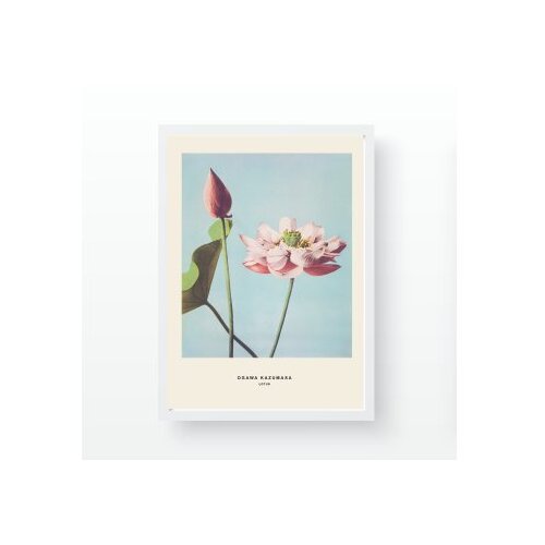 WALLXPERT dekorativna slika flowers Slike
