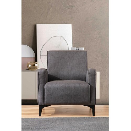  Petra - Anthracite Anthracite Wing Chair Cene