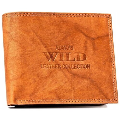 Always Wild AWN5MAL73656 sarena Cijene