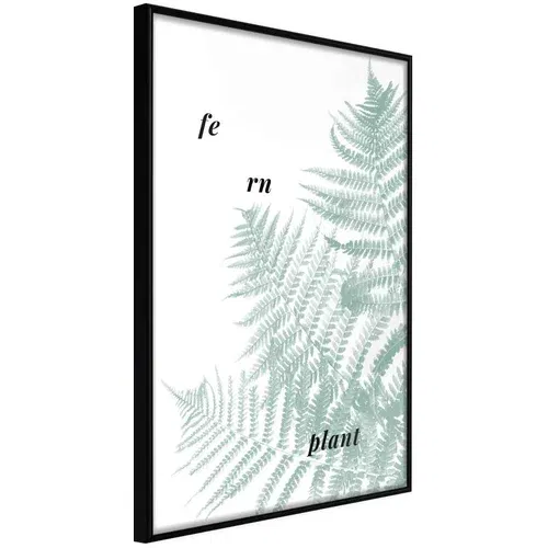  Poster - Pale Green Fern 20x30