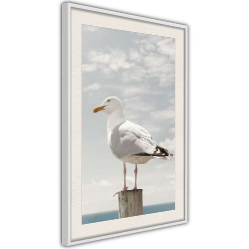  Poster - Curious Seagull 20x30 Slike