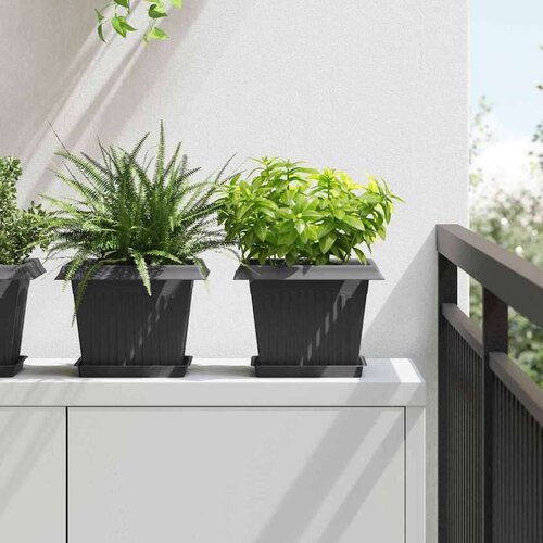  Kvadratna cvetlična posoda 24 pcs Črna 23 x 23 x 17,5 cm, (5000207827) Cene