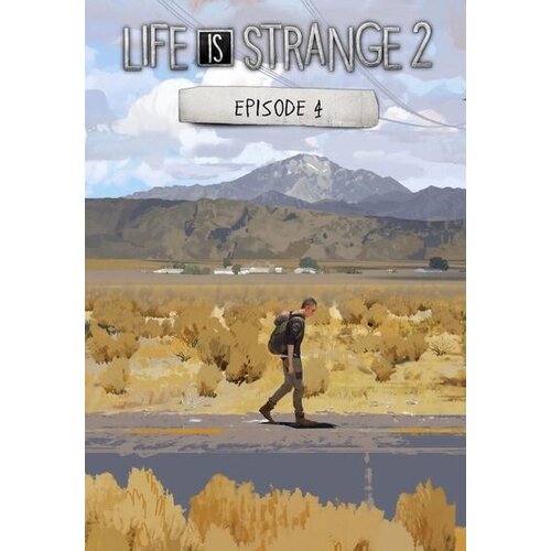 Steam Life is Strange 2 - Episode 4 (DLC) Key GLOBAL Cene
