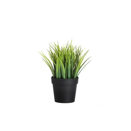 WALLXPERT decorative pot crno zelena saksija 241348 Slike