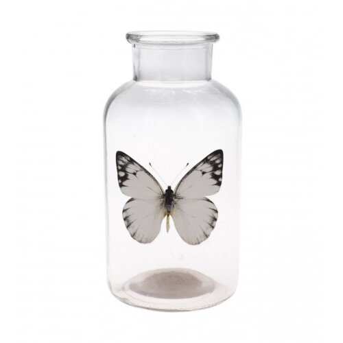 Master Vazna 100x195mm NB3000580 Slike