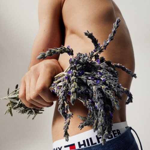 Tommy Hilfiger Tommy toaletna voda za mo&amp;scaron;ke 50 ml Slike