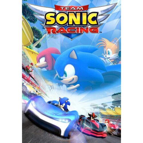  Team Sonic Racing S Key EUROPE Cene