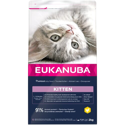 Eukanuba Healthy Start Kitten - Varčno pakiranje: 3 x 2 kg Cene