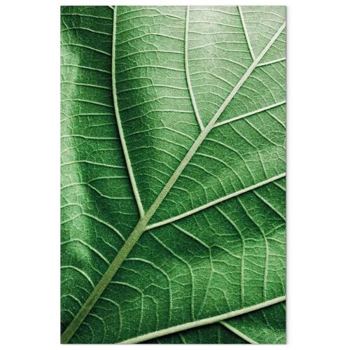  Slika - Malachite Leaf (1 Part) Vertical 60x90 Slike