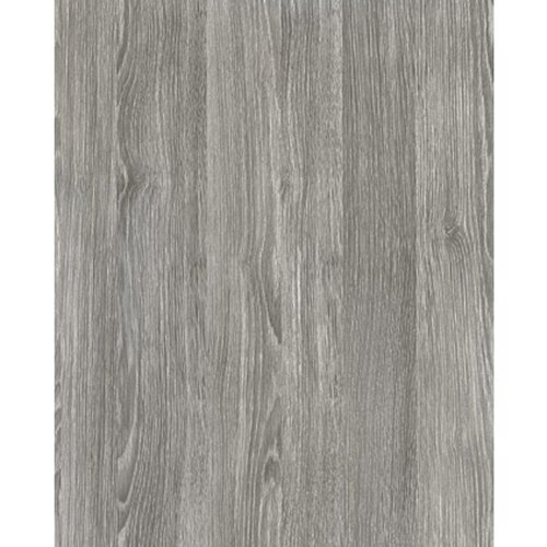 D-C-Fix samoljepljiva folija s motivom drveća (D x &amp;Scaron;: 210 x 90 cm, Sheffield Oak, Biserno sive boje, Samoljepljivo) Slike