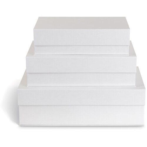 Bigso Bijele kartonske kutije za pohranu u setu 3 kom s poklopcem/dekorativne 42,5x29,5x13 cm Kian Paper Laminate &ndash; Cijene