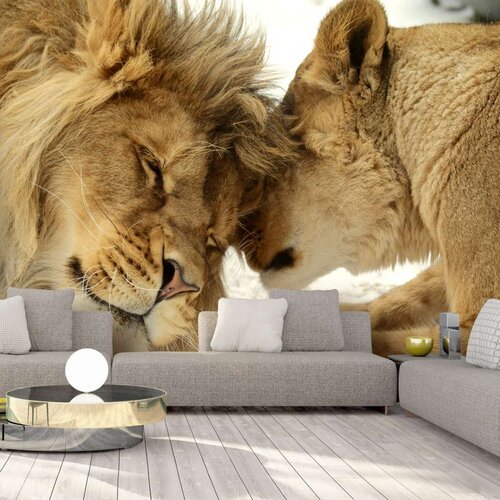  Samoljepljiva foto tapeta - Lion Tenderness 196x140 Cijene