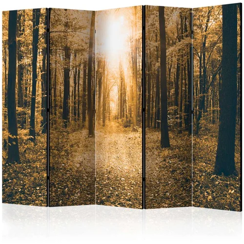  Paravan u 5 dijelova - Magical Light II [Room Dividers] 225x172