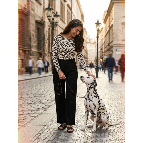 Sinsay Viskozna bluza s dugim rukavima u zebra uzorku Cijene