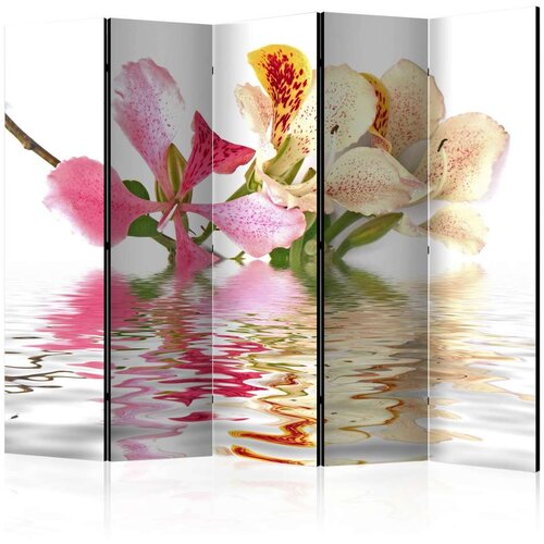 Paravan u 5 dijelova - Tropical flowers - orchid tree (bauhinia) II [Room Dividers] 225x172 Slike