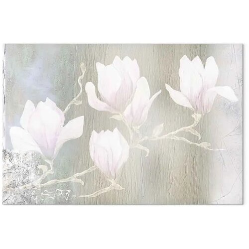  Slika - White Magnolias (1 Part) Wide 90x60 Slike