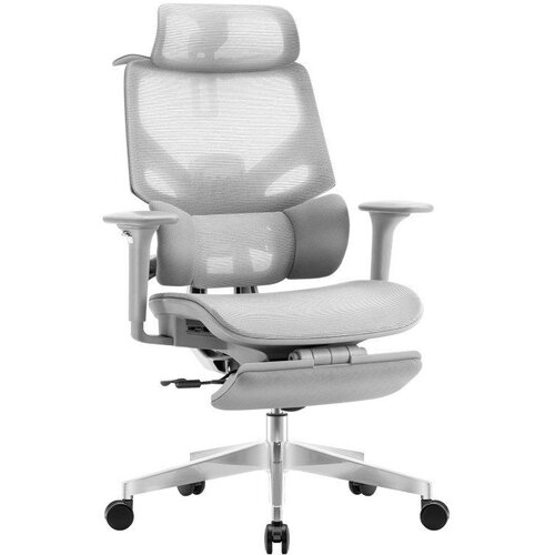  Ergonomska stolica Expert 8.7 Gray Mesh Cijene