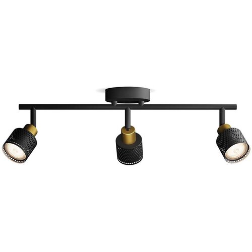 Philips 929004109201 Niall spot 3x5w bs hv ( 20658 ) Slike