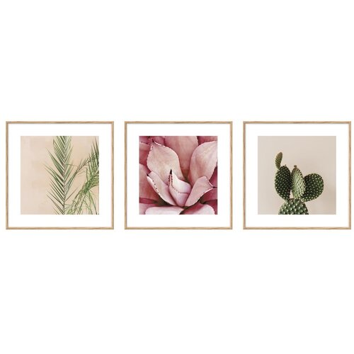 Knor Plakati v kompletu 3 kos 22,5x22,5 cm Flowers Slike