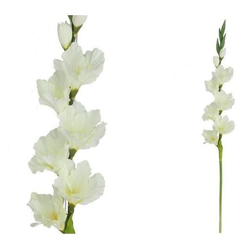  GLADIOLA 82CM BIJELA Cene