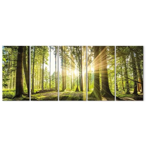  Slika - Sunlight 225x90 Premium Print Slike