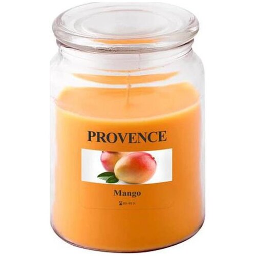  Mirisna sveća MANGO 510 g 85-95 sati. Cene