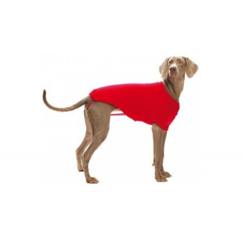 Croci odelce seville 65 crveno Cene