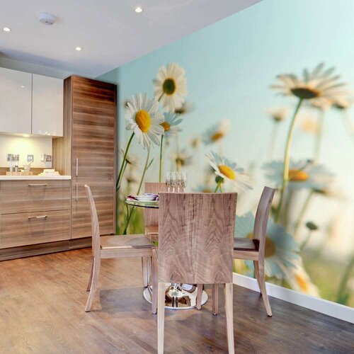  Tapeta - Daisies - spring meadow 400x309 Cijene