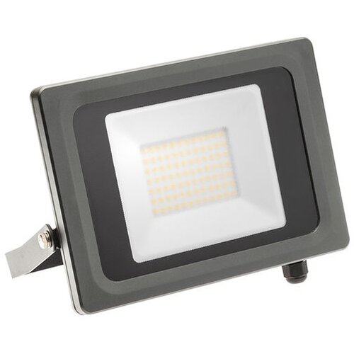  REFLEKTOR VIPER 50W 4000K IP65 Cijene