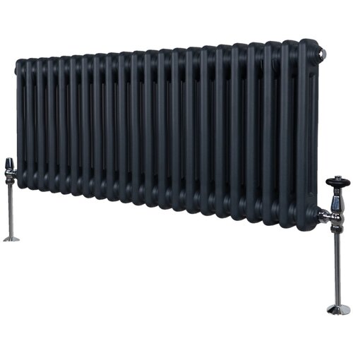 Monster Tradicionalni radiator z 2 stolpcema - 300 x 1012 mm - antracitno siva, (21569965) Cene