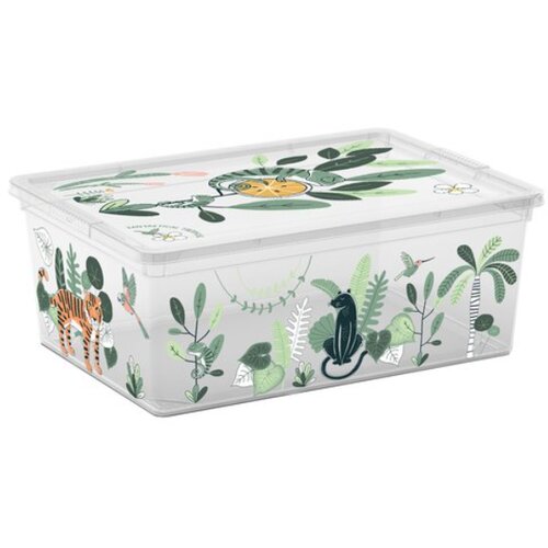 Kis tropical kutija za odlaganje s Slike