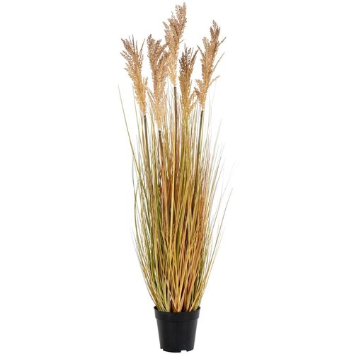 House Nordic Umetna trava House Nordic, višina 110 cm Cene