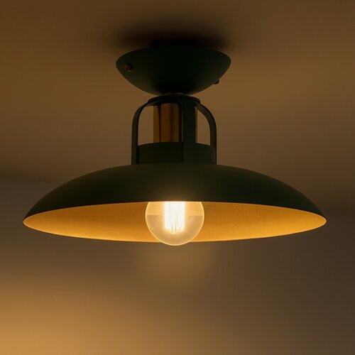  Brilagi - LED Plafonski luster FLAMENGO 1xE27/60W/230V, zelene boje Slike