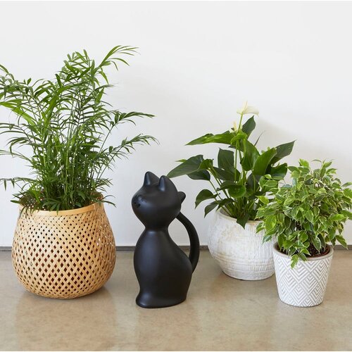 Balvi Plastična kanta za vodu 2 l Meow &amp;ndash; Slike