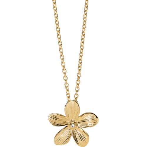 2jewels NAKIT 2JEWELS OGRLICA 251998 Cijene