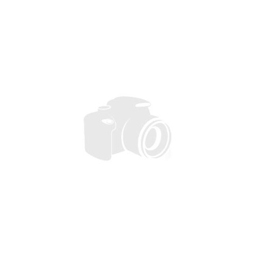 Pho MSI MAESTRO 300 Slike