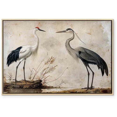  Slika - Birds from an old engraving - vintage-style illustration depicting a heron and a crane 60x40 U prirodnom drvenom okviru Slike