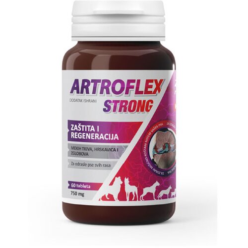 Interagrar suplement za pse 750mg Artroflex Strong 60 tbl Cene