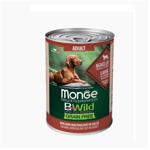 MONGE BWILD vlažna hrana za odrasle pse - jagnjetina 400g Cene