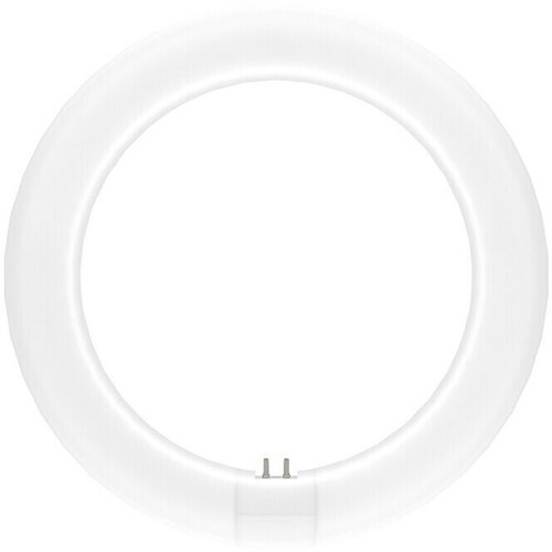 Osram LED cijev (Duljina: 21,2 cm, Hladna bijela, 11 W, 1.320 lm, G10q) Cijene