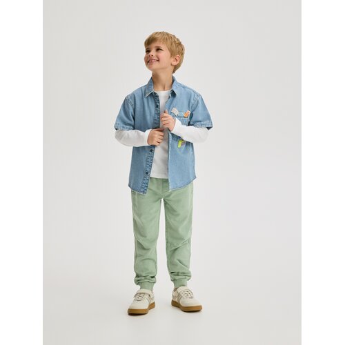 Reserved Jogger hlače isprana izgleda - svjetlozeleno Cene