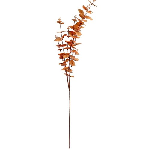  Rezano cvijeće grana eukaliptus narančasta 94 cm Cene