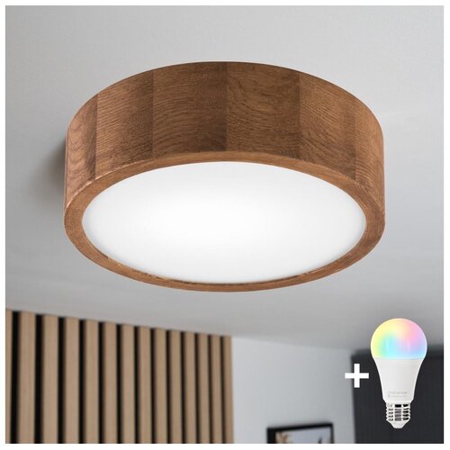  Brilagi - LED RGBW plafonsko svetlo CARVALHO sa prigu&scaron;iva 1xE27/15W/230V Wi-Fi, hrast, prečnik 27,5 cm Cene