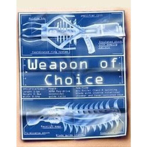 Steam Weapon of Choice Key GLOBAL Cene