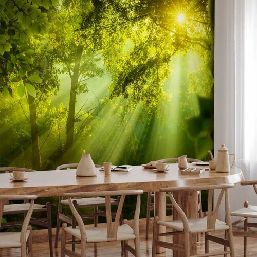  Foto tapeta - In a Secret Forest 400x280 Vodootporna Slike